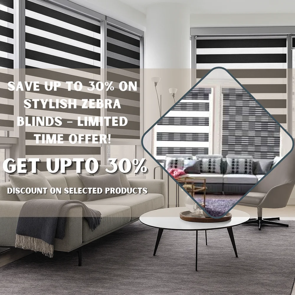 Zebra Blinds